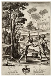 Swarming of Bees (State 1)